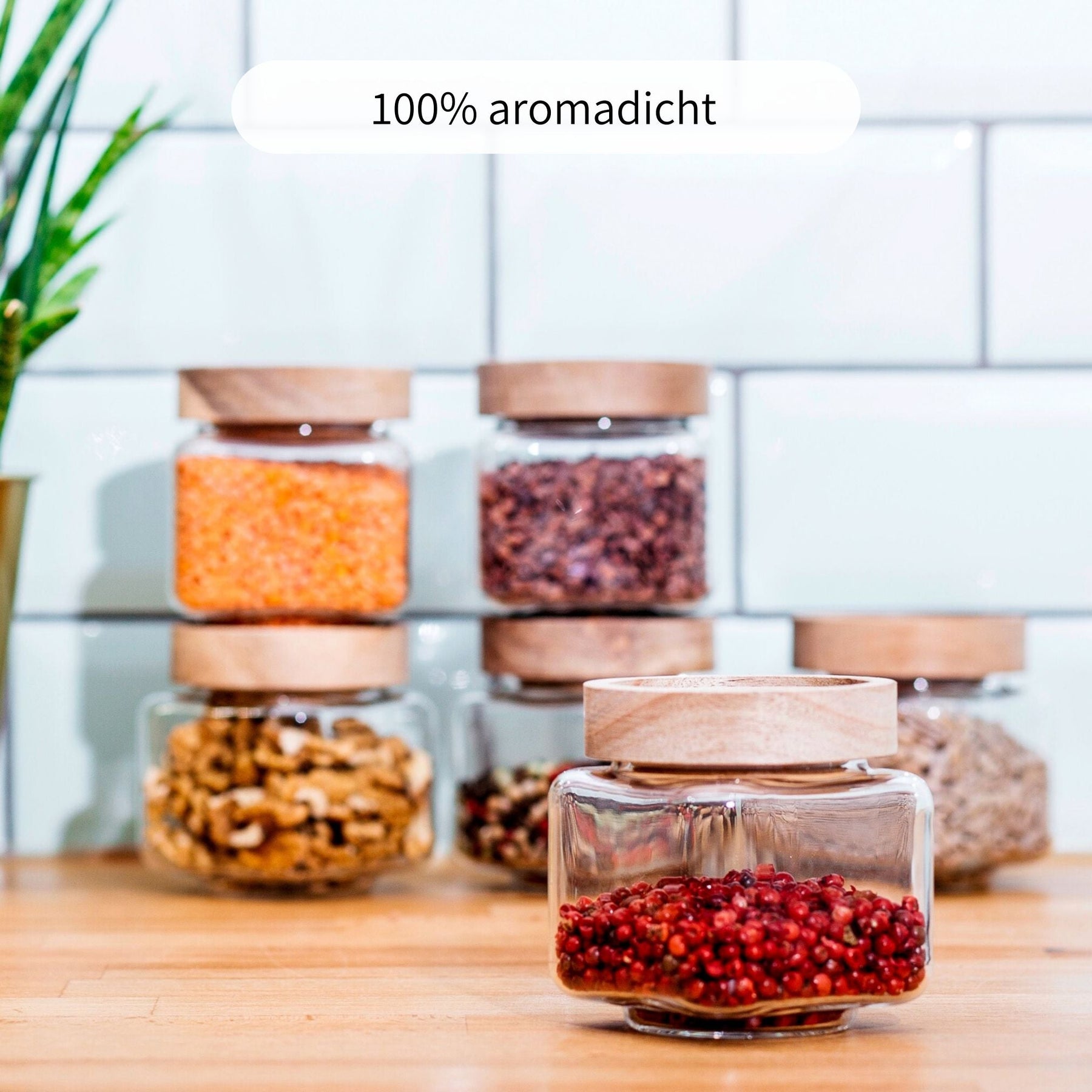 RIVA | Gewürzgläser eckig 220ml (6-tlg.)