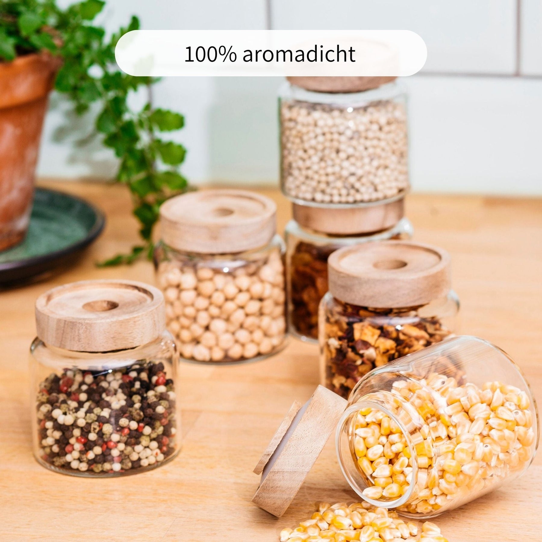 MAJA | Gewürzgläser oval 170ml (6-tlg.)