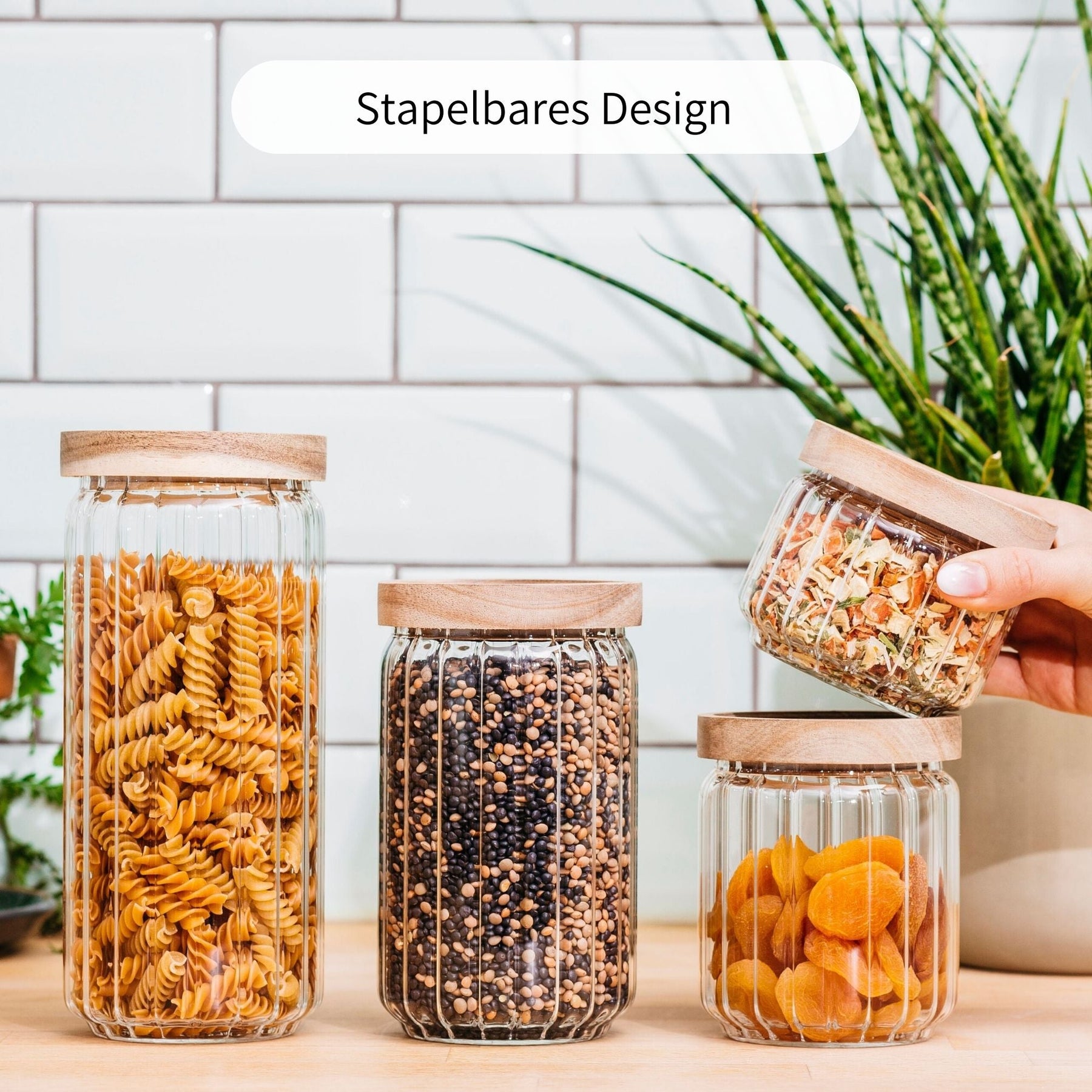 ELLA | Vorratsgläser geriffelt 1000ml (3-tlg.)