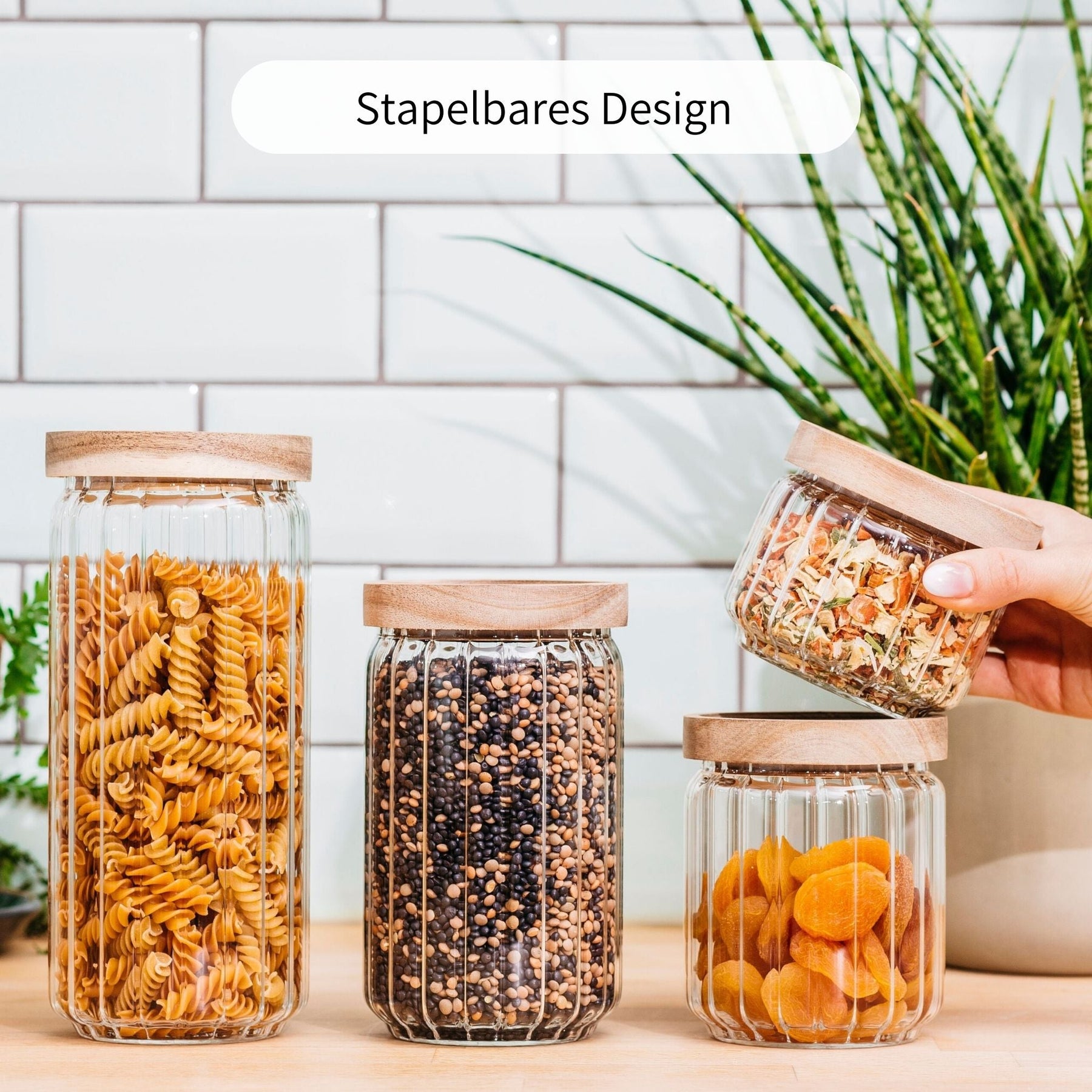 WILMA | Vorratsgläser geriffelt gemischt (4-tlg.)