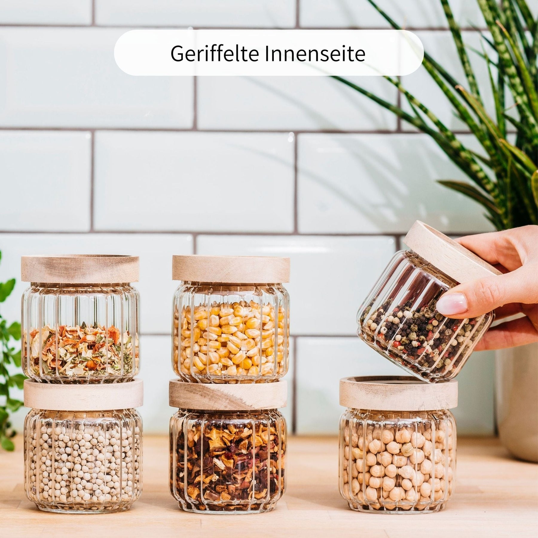 MATTIS | Gewürzgläser geriffelt 150ml (6-tlg.)