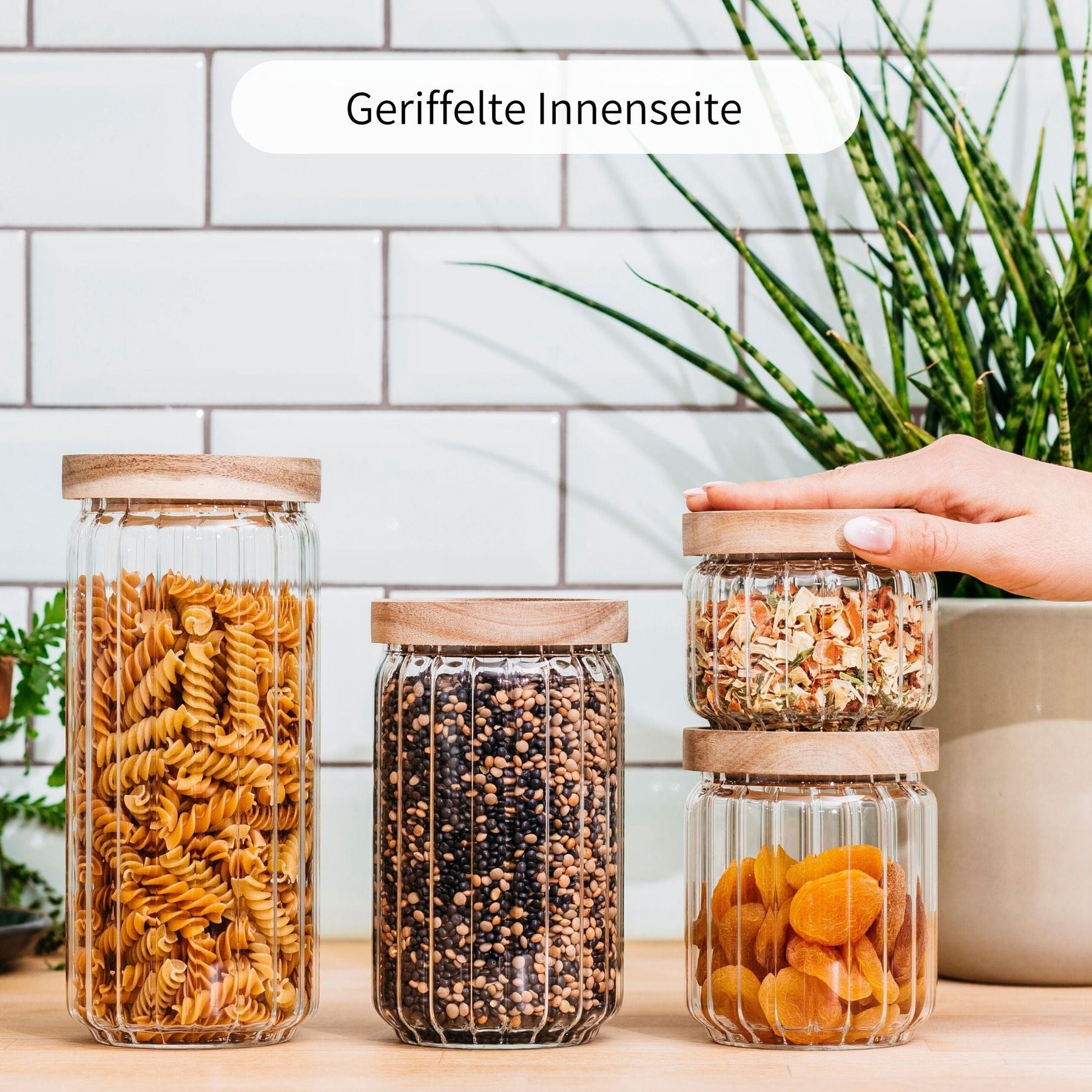 WILMA | Vorratsgläser geriffelt gemischt (4-tlg.)