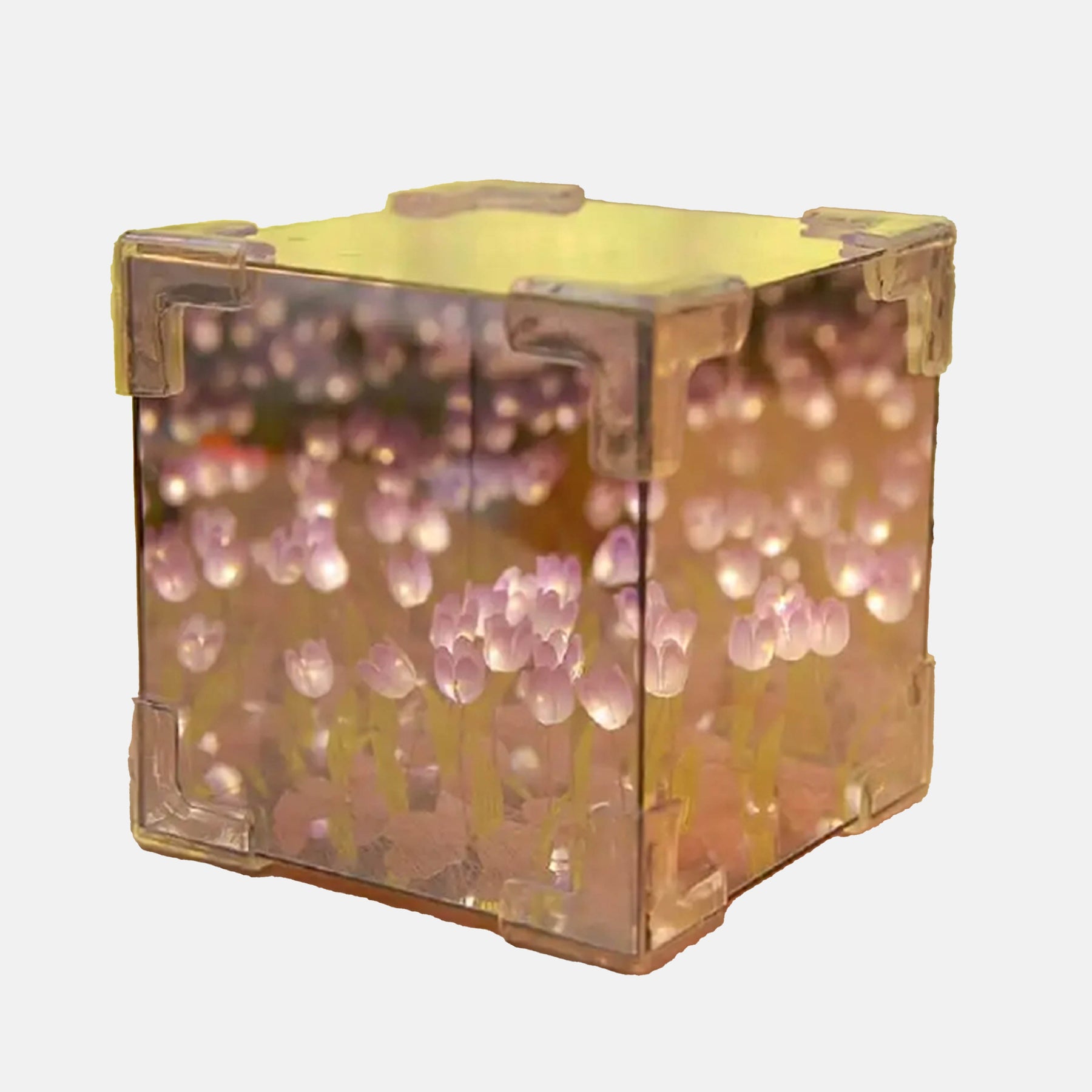 LUMISCAPE – DIY Wiesenlampe für kreatives Wohndesign