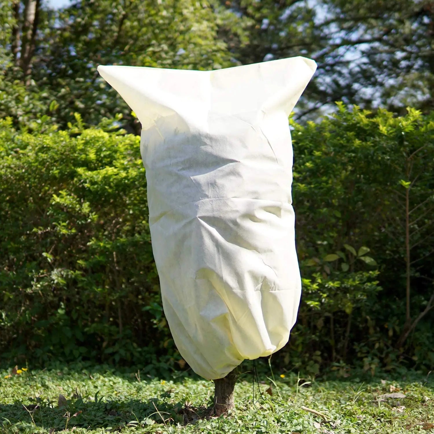 COEN – Einfache und umweltfreundliche Abdeckung