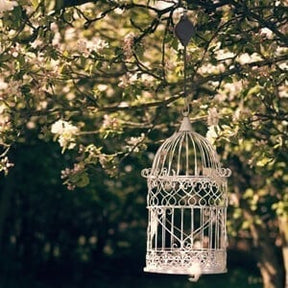 BlumenLift Höhenregler