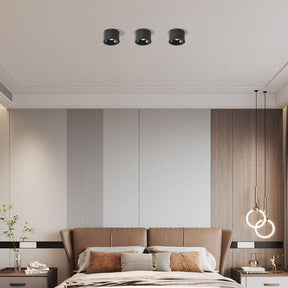 LUMICIRCLE – Minimalistische LED Deckenleuchte mit verstellbarem Spot