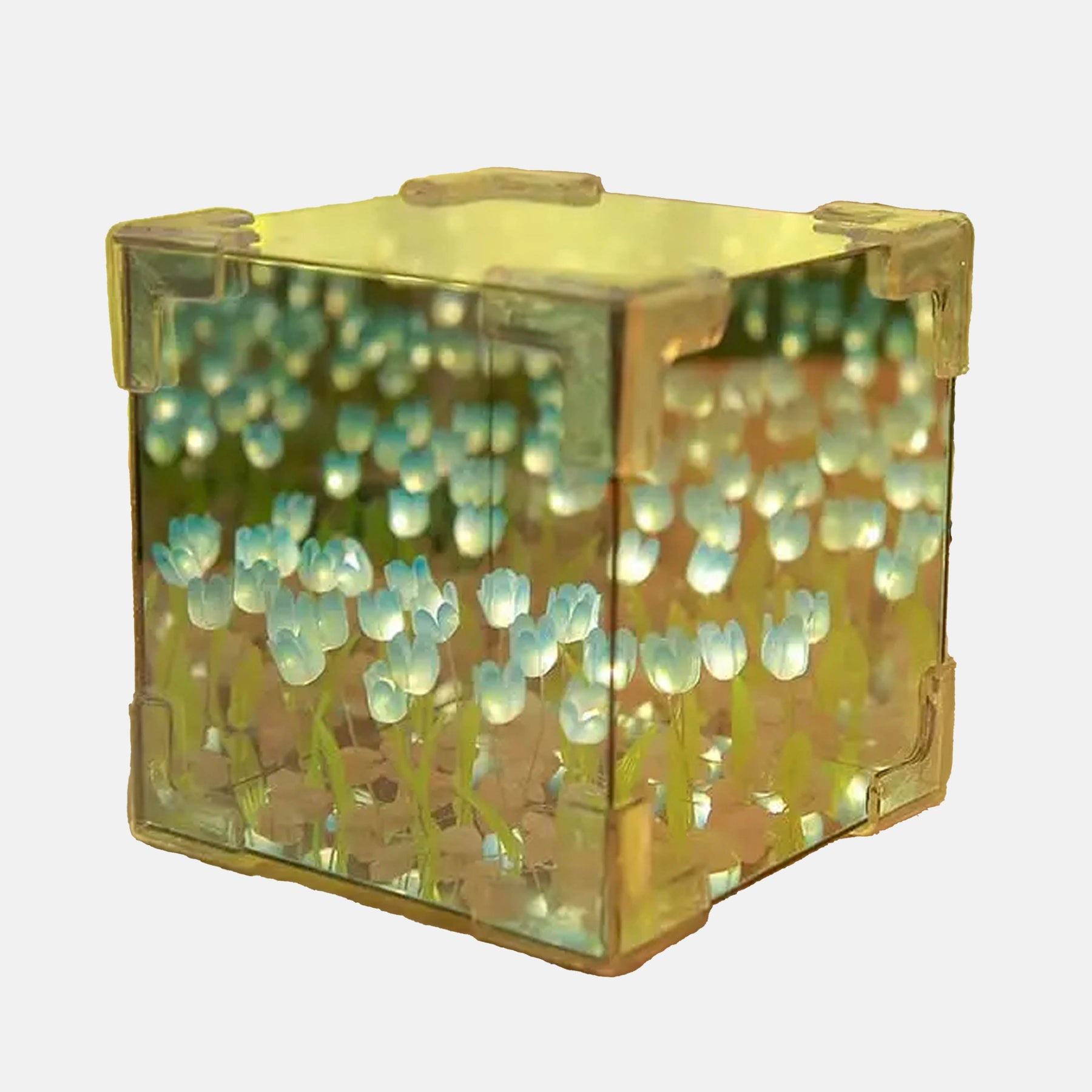 LUMISCAPE – DIY Wiesenlampe für kreatives Wohndesign