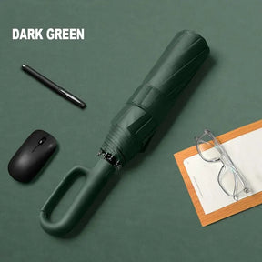 RainGuard – Automatischer Regenschirm mit Wind- und UV-Schutz