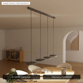 Evanos Designer Pendelleuchte