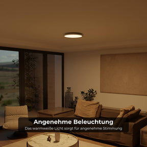 Resa Deckenleuchte